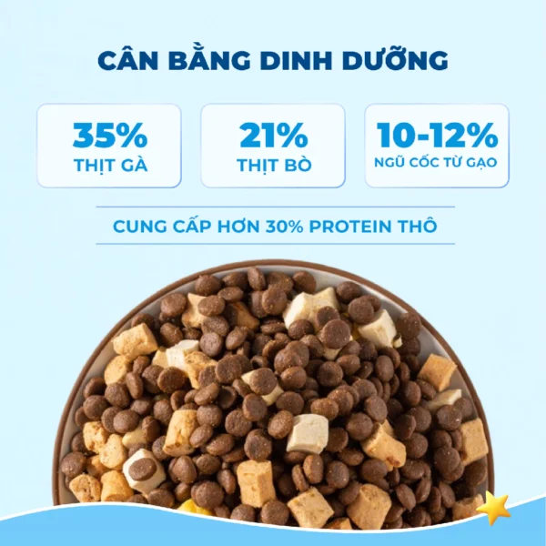 Hạt Thức Ăn Cho Mèo MRVET Toàn Diện T1 - Ảnh 3