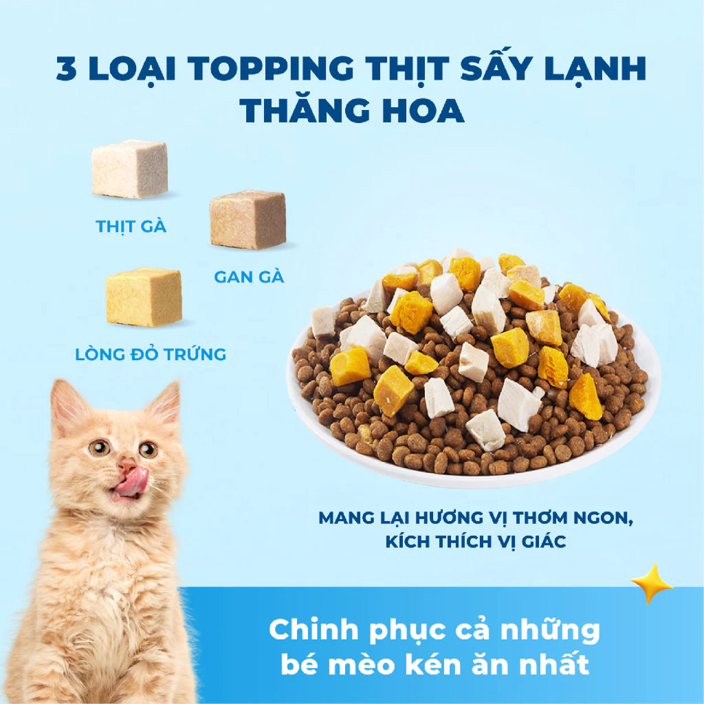 Hạt Thức Ăn Cho Mèo MRVET Toàn Diện T2 - Ảnh 6