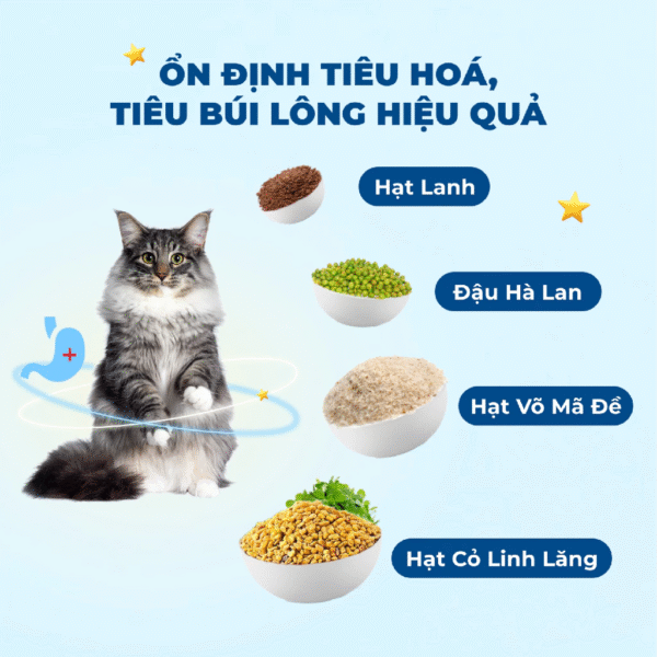 Hạt Thức Ăn Cho Mèo MRVET Toàn Diện T2 - Ảnh 3