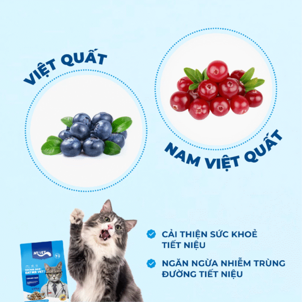 Hạt Thức Ăn Cho Mèo MRVET Toàn Diện T3 - Ảnh 7