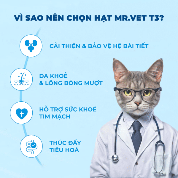 Hạt Thức Ăn Cho Mèo MRVET Toàn Diện T3 - Ảnh 8