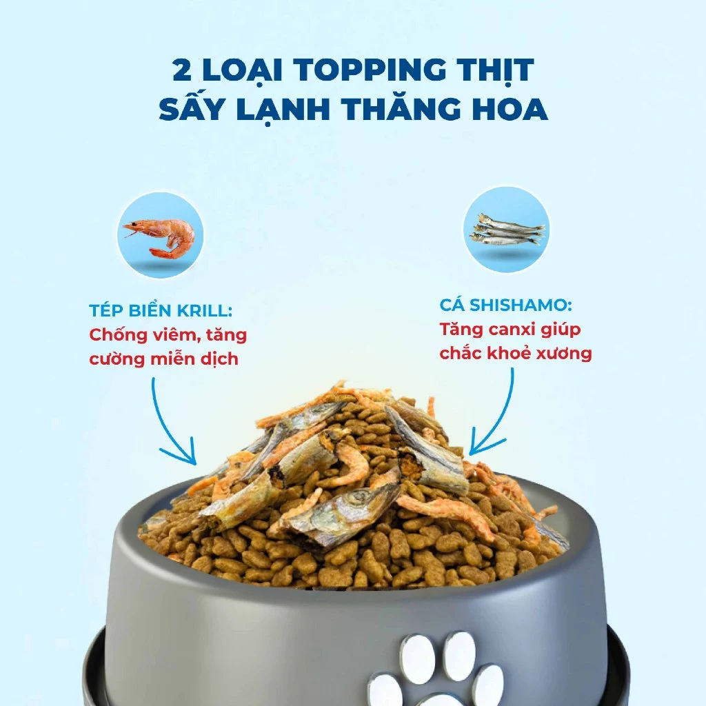 Hạt Thức Ăn Cho Mèo MRVET Toàn Diện T4 - Ảnh 4