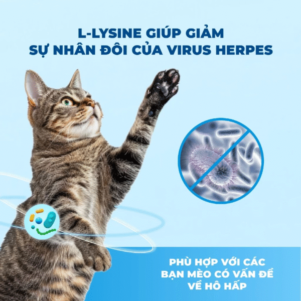 Hạt Thức Ăn Cho Mèo MRVET Toàn Diện T4 - Ảnh 6