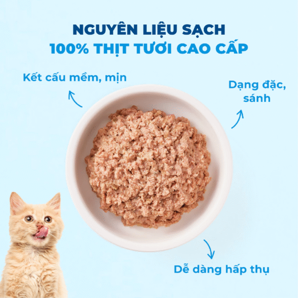 Pate Cho Mèo MRVET Thức Ăn Ướt Điều Hòa Tiêu Hóa - Ảnh 4