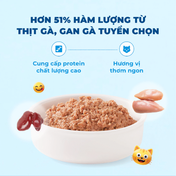 Pate Cho Mèo MRVET Thức Ăn Ướt Điều Hòa Tiêu Hóa - Ảnh 5