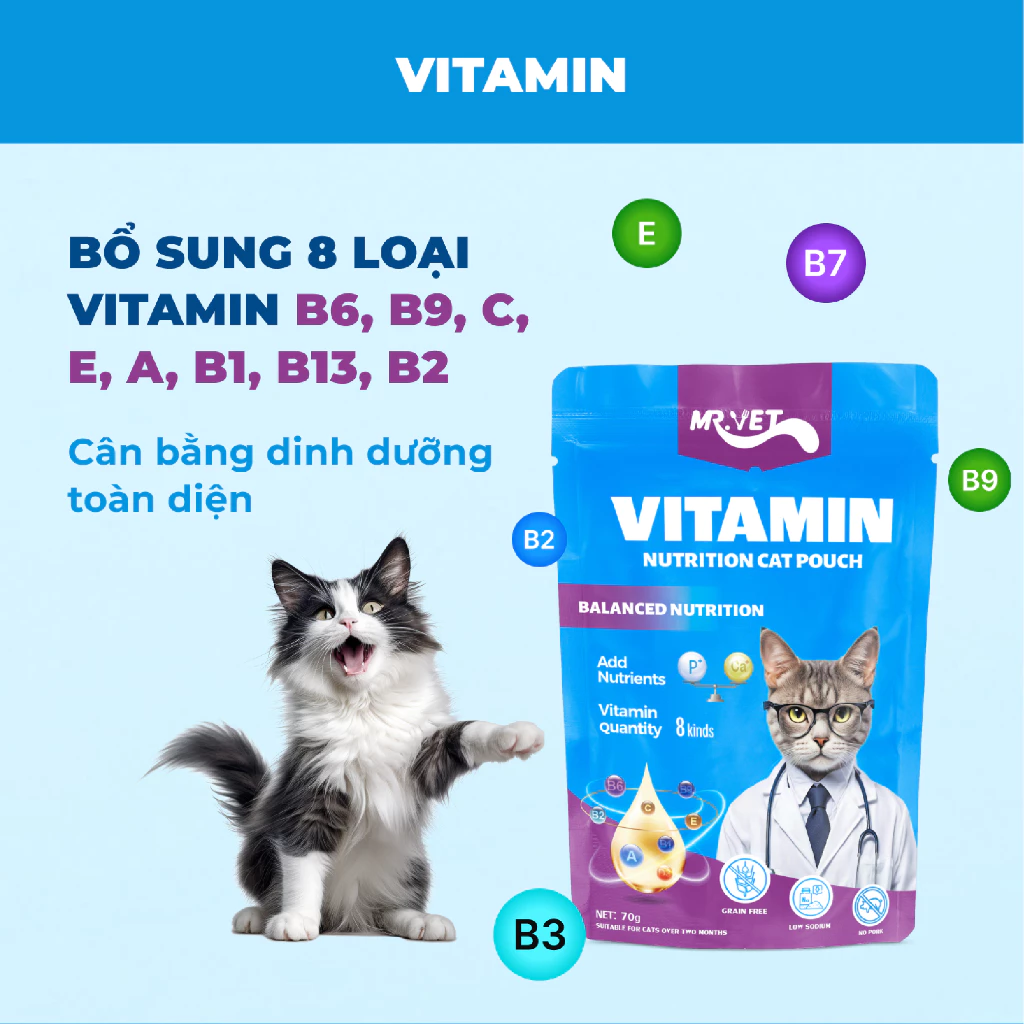 Pate Cho Mèo MRVET Thức Ăn Ướt Điều Hòa Tiêu Hóa - Ảnh 6