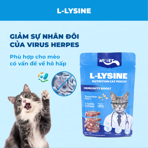 Pate Cho Mèo MRVET Thức Ăn Ướt Điều Hòa Tiêu Hóa - Ảnh 7