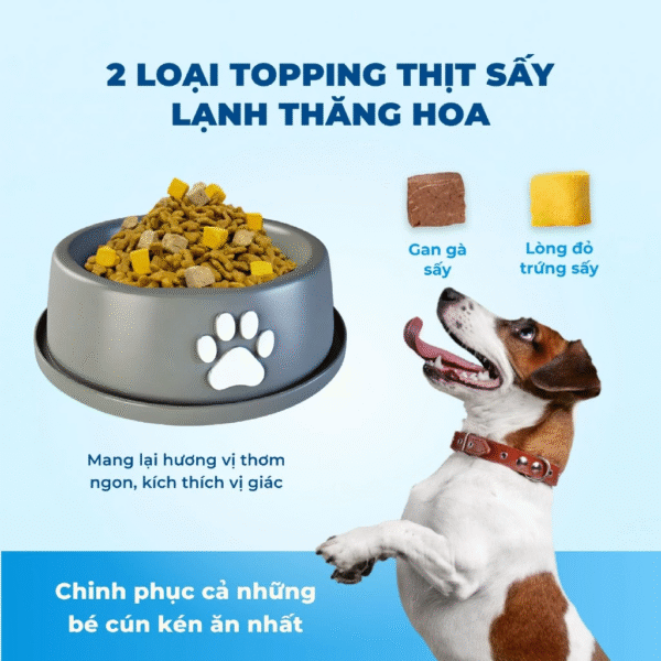 Hạt Chó MR.VET D1 Vị Cừu Non - Dinh Dưỡng Toàn Diện Cho Chó Mọi Lứa Tuổi - Ảnh 3