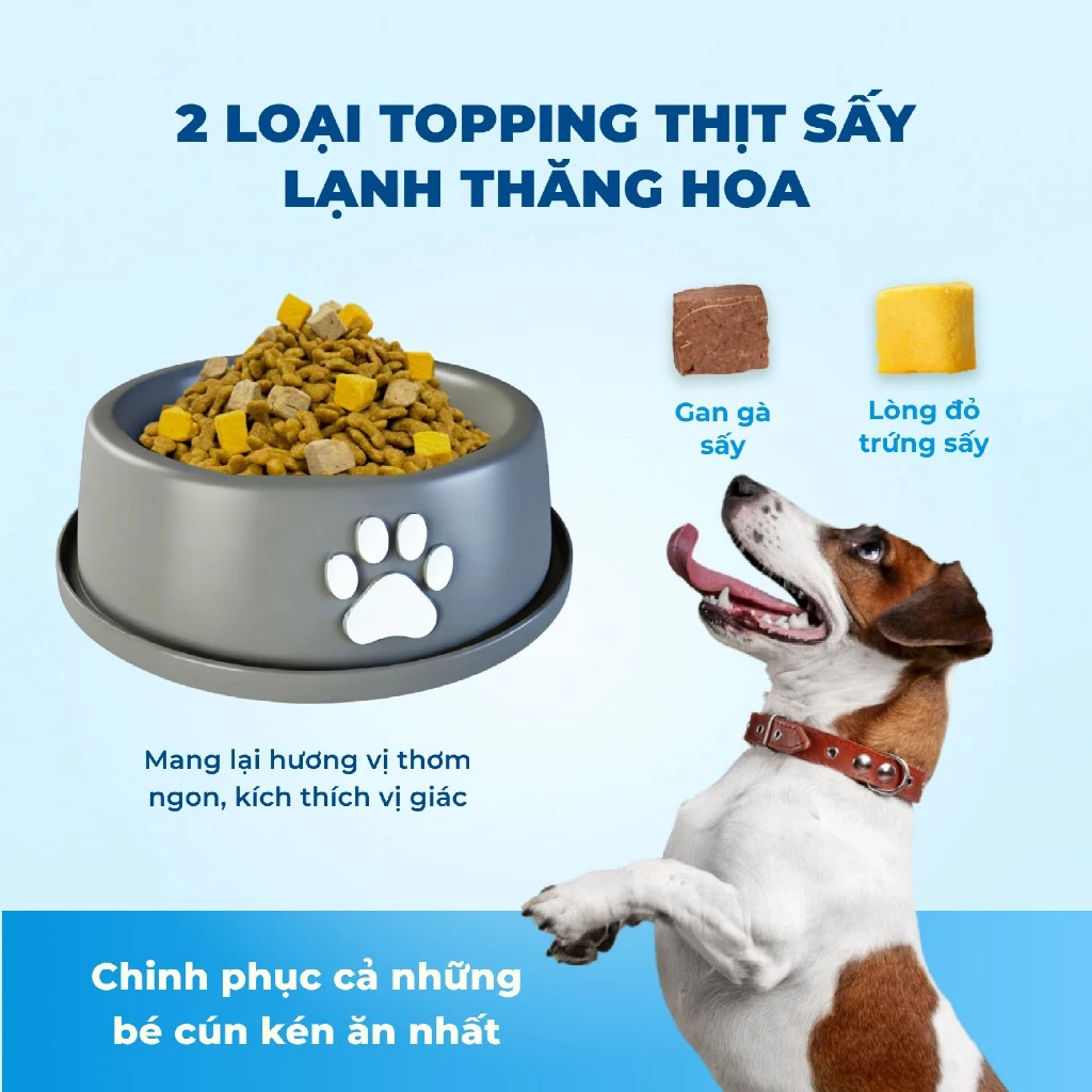 Hạt Chó MR.VET D1 Vị Cừu Non - Dinh Dưỡng Toàn Diện Cho Chó Mọi Lứa Tuổi - Ảnh 3