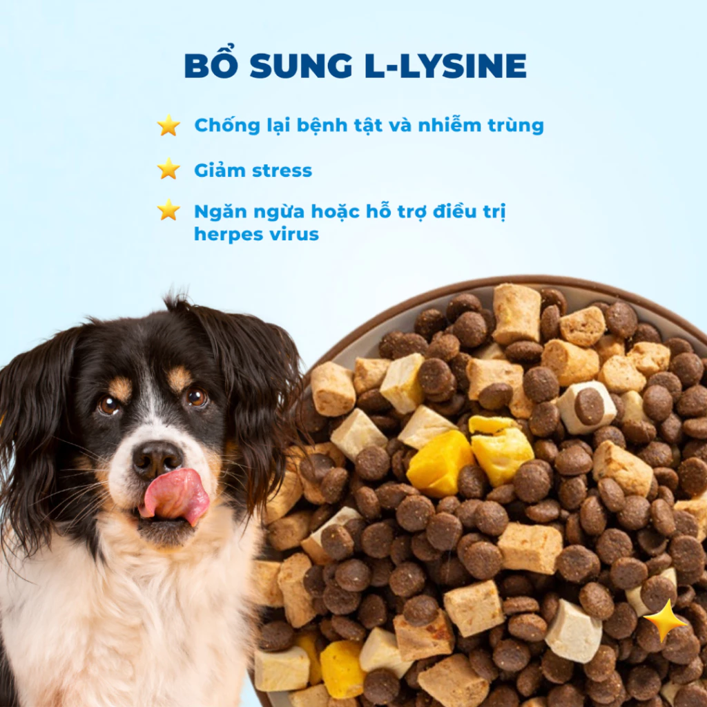 Hạt Chó MR.VET D1 Vị Cừu Non - Dinh Dưỡng Toàn Diện Cho Chó Mọi Lứa Tuổi - Ảnh 4