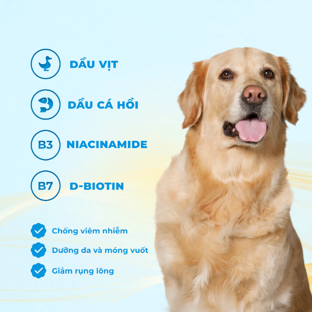 Hạt Chó MR.VET D1 Vị Cừu Non - Dinh Dưỡng Toàn Diện Cho Chó Mọi Lứa Tuổi - Ảnh 5