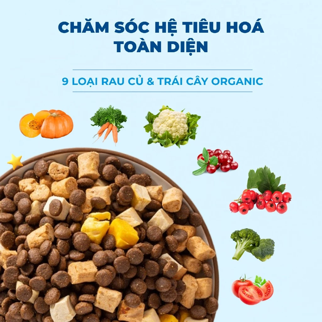 Hạt Chó MR.VET D1 Vị Cừu Non - Dinh Dưỡng Toàn Diện Cho Chó Mọi Lứa Tuổi - Ảnh 6