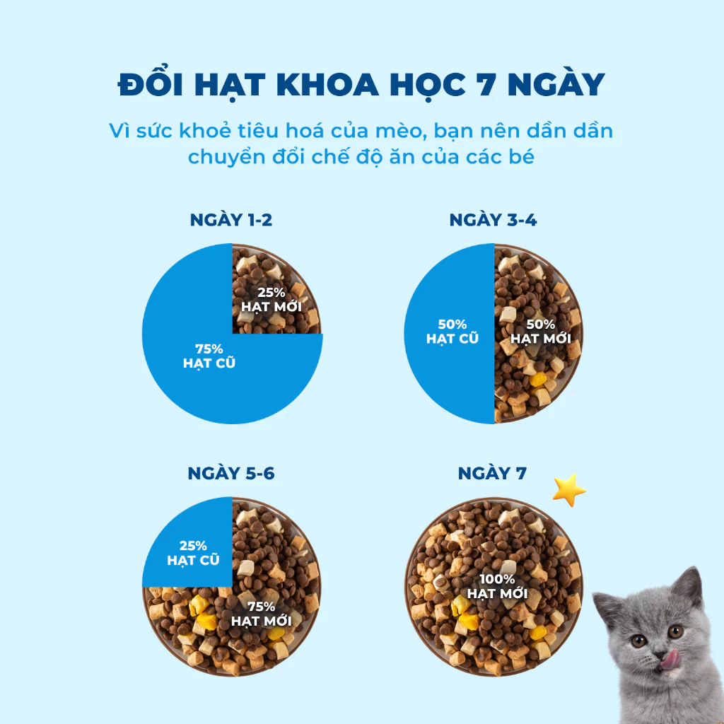 Hạt Chó MR.VET D1 Vị Cừu Non - Dinh Dưỡng Toàn Diện Cho Chó Mọi Lứa Tuổi - Ảnh 8
